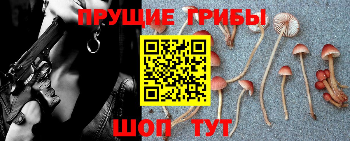 Галлюциногенные грибы Magic Shrooms Армавир