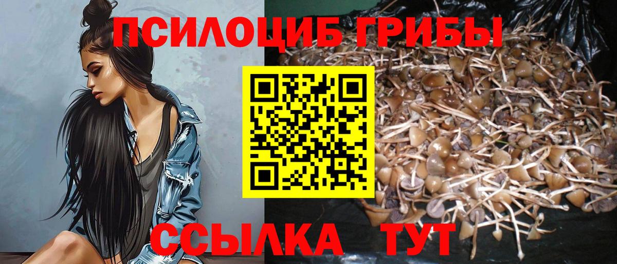 Галлюциногенные грибы GOLDEN TEACHER  Вход с VPN  Псилоцибиновые грибы мухоморы  где можно купить   Армавир 